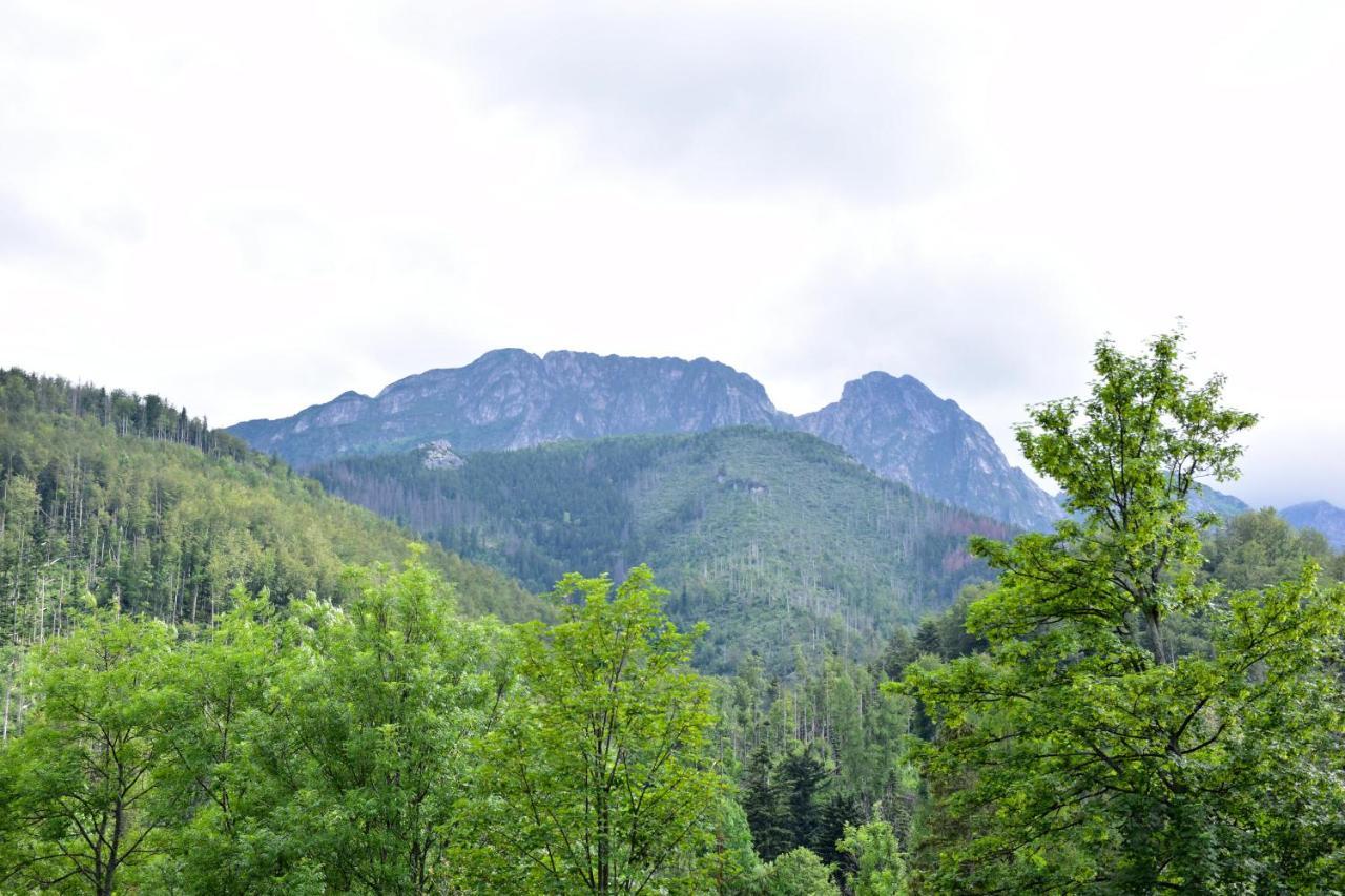 Willa Halka Zakopane Exteriör bild