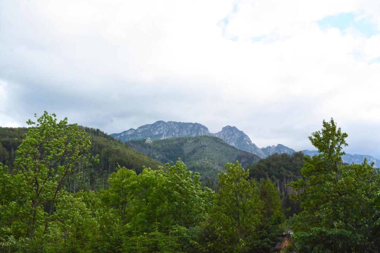 Willa Halka Zakopane Exteriör bild