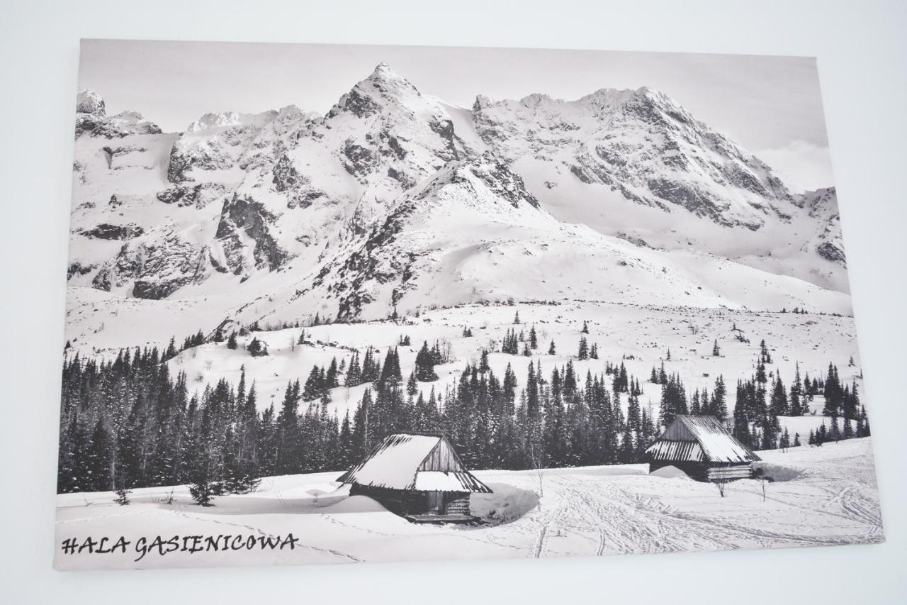 Willa Halka Zakopane Exteriör bild