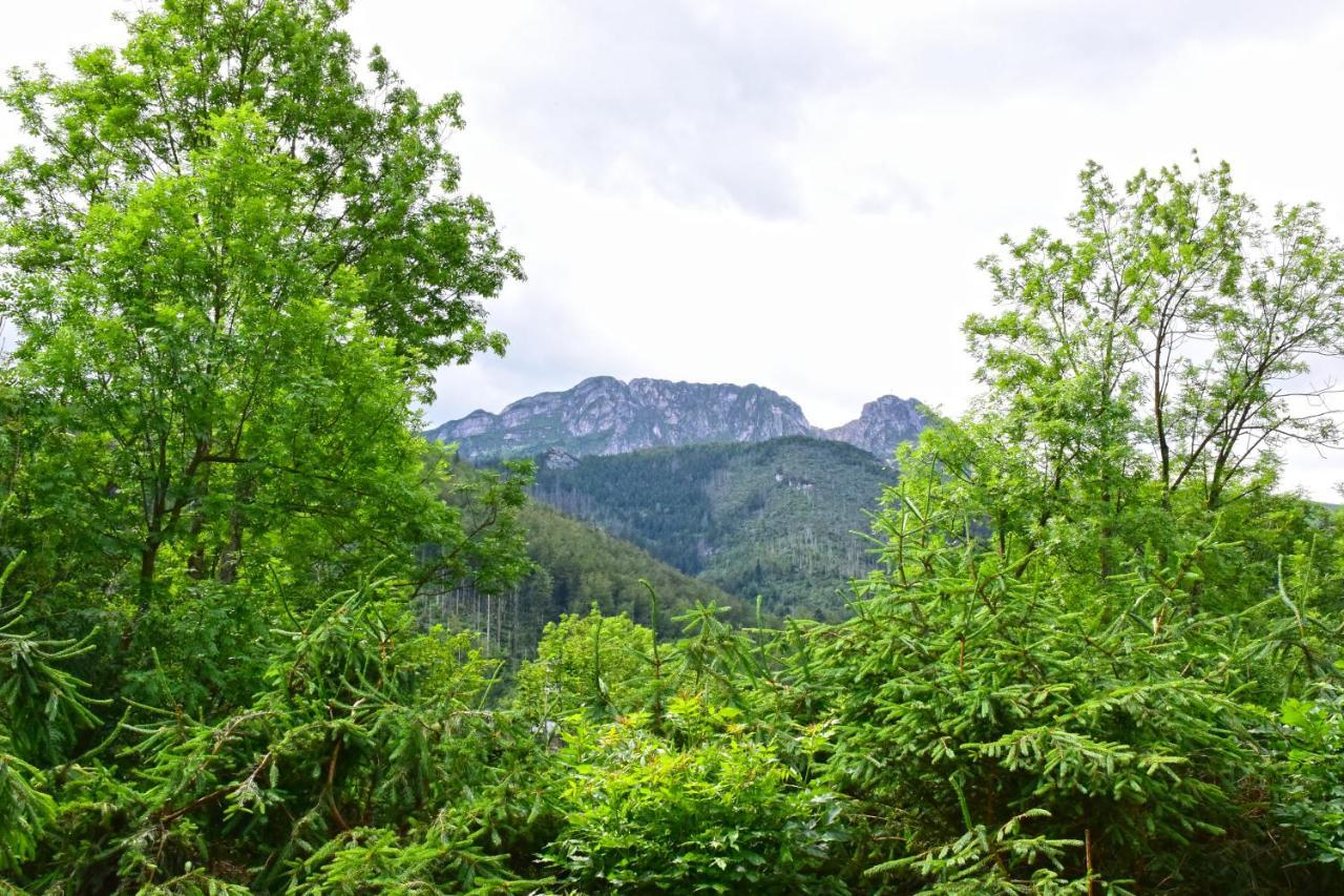 Willa Halka Zakopane Exteriör bild